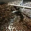 Coffee beans during the cooling stage of the roasting process
