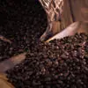 picture of fresh coffee beans before coffee bean storage