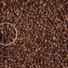 coffee, coffee beans, cup, coffee cup, mug, beans, roasted, roasted coffee, roasted coffee beans, brown, caffeine, food, cafe, roast, aroma, coffee, coffee, coffee, coffee, coffee, coffee beans